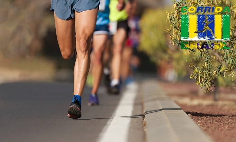 Corrida (17)